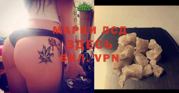 ГАЛЛЮЦИНОГЕННЫЕ ГРИБЫ Арсеньев