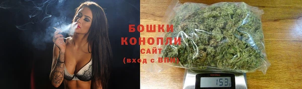 ГАЛЛЮЦИНОГЕННЫЕ ГРИБЫ Арсеньев