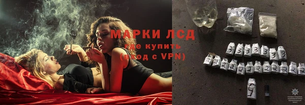 ГАЛЛЮЦИНОГЕННЫЕ ГРИБЫ Арсеньев