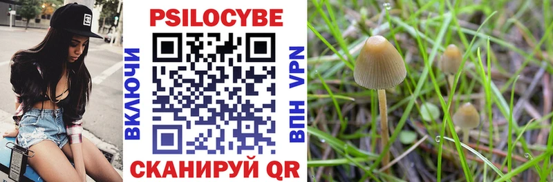 Галлюциногенные грибы мухоморы  Курск 